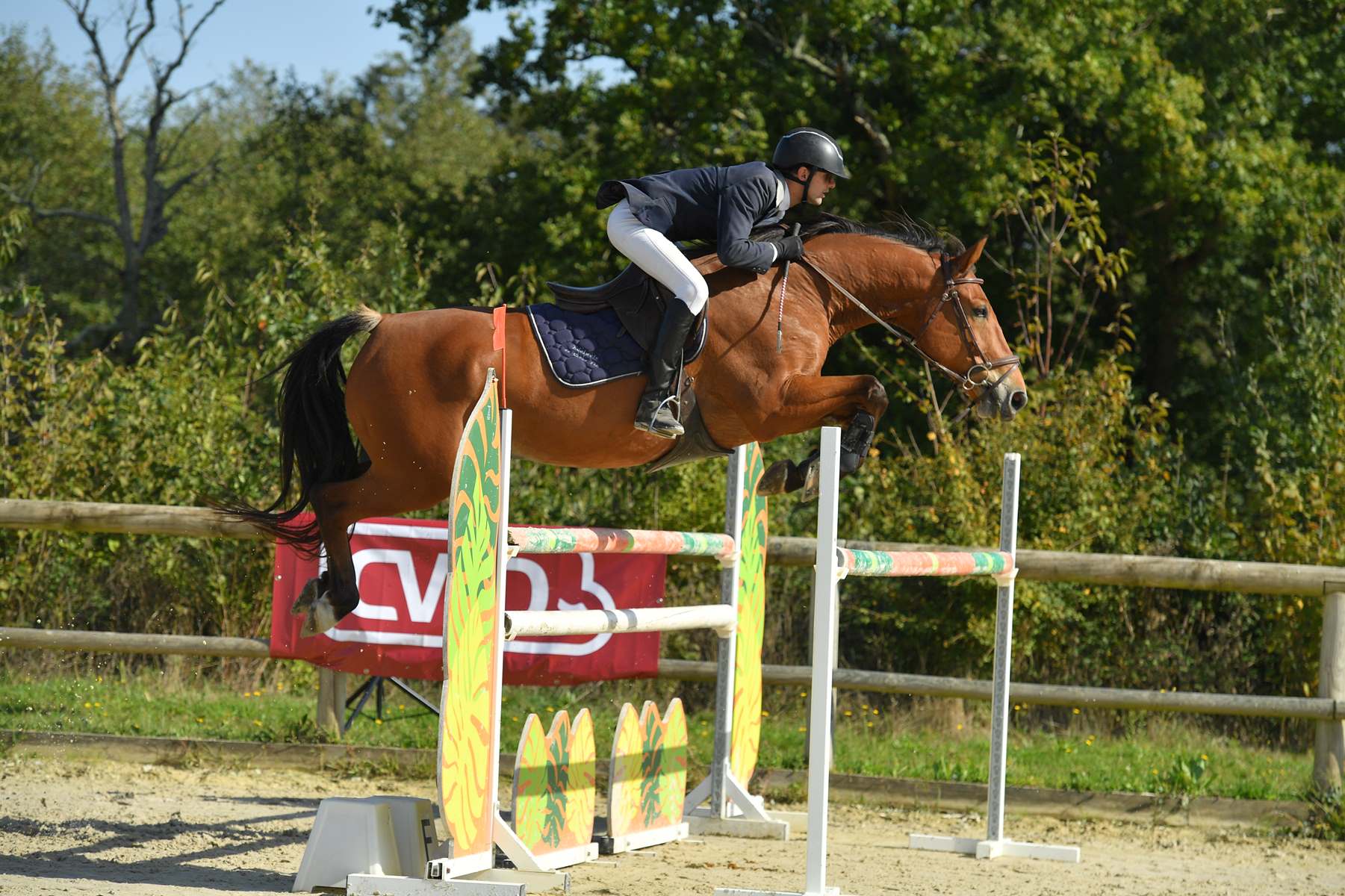 Image de l'annonce Cheval 9 ans CSO