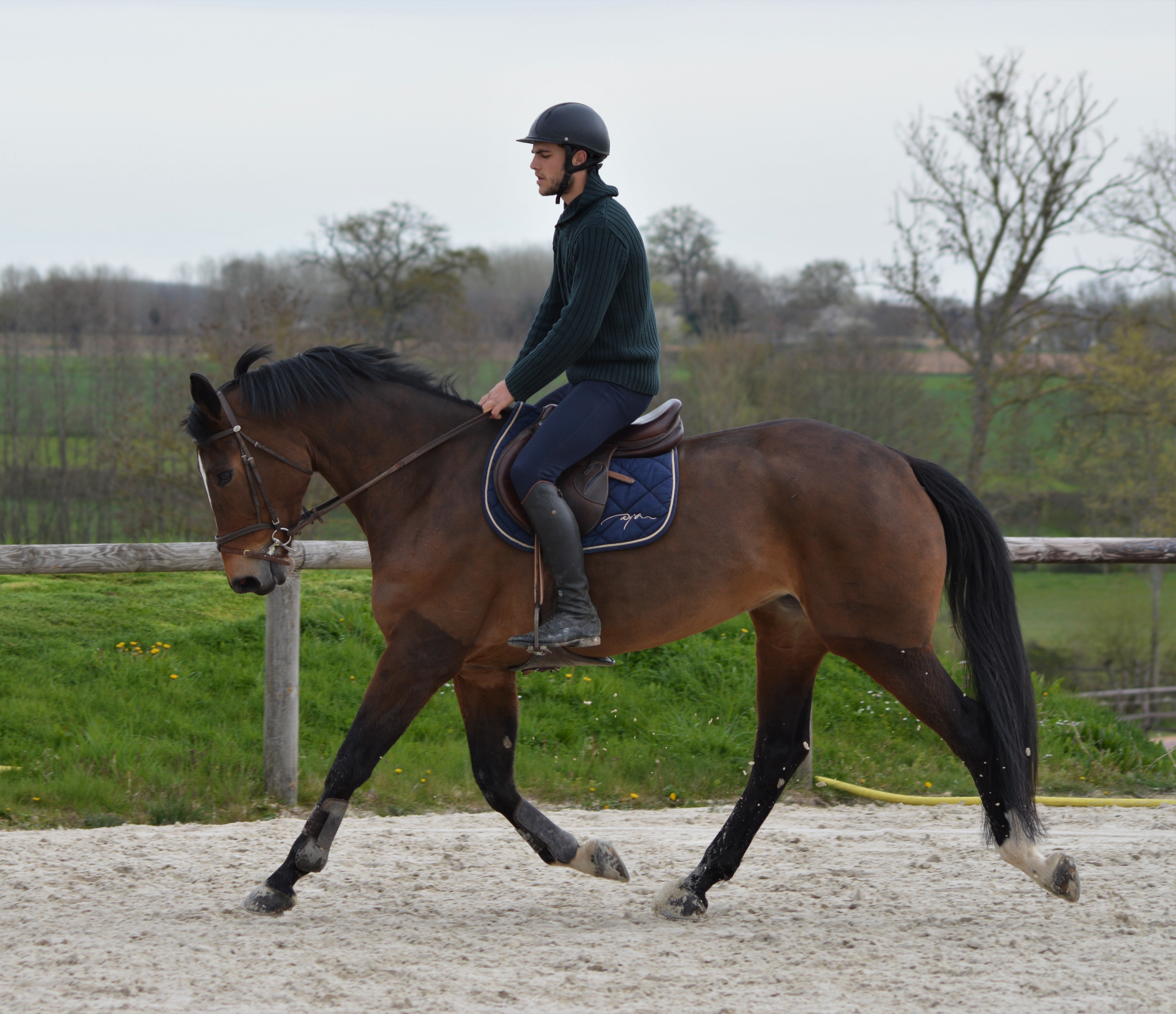 Image de l'annonce Jument CSO