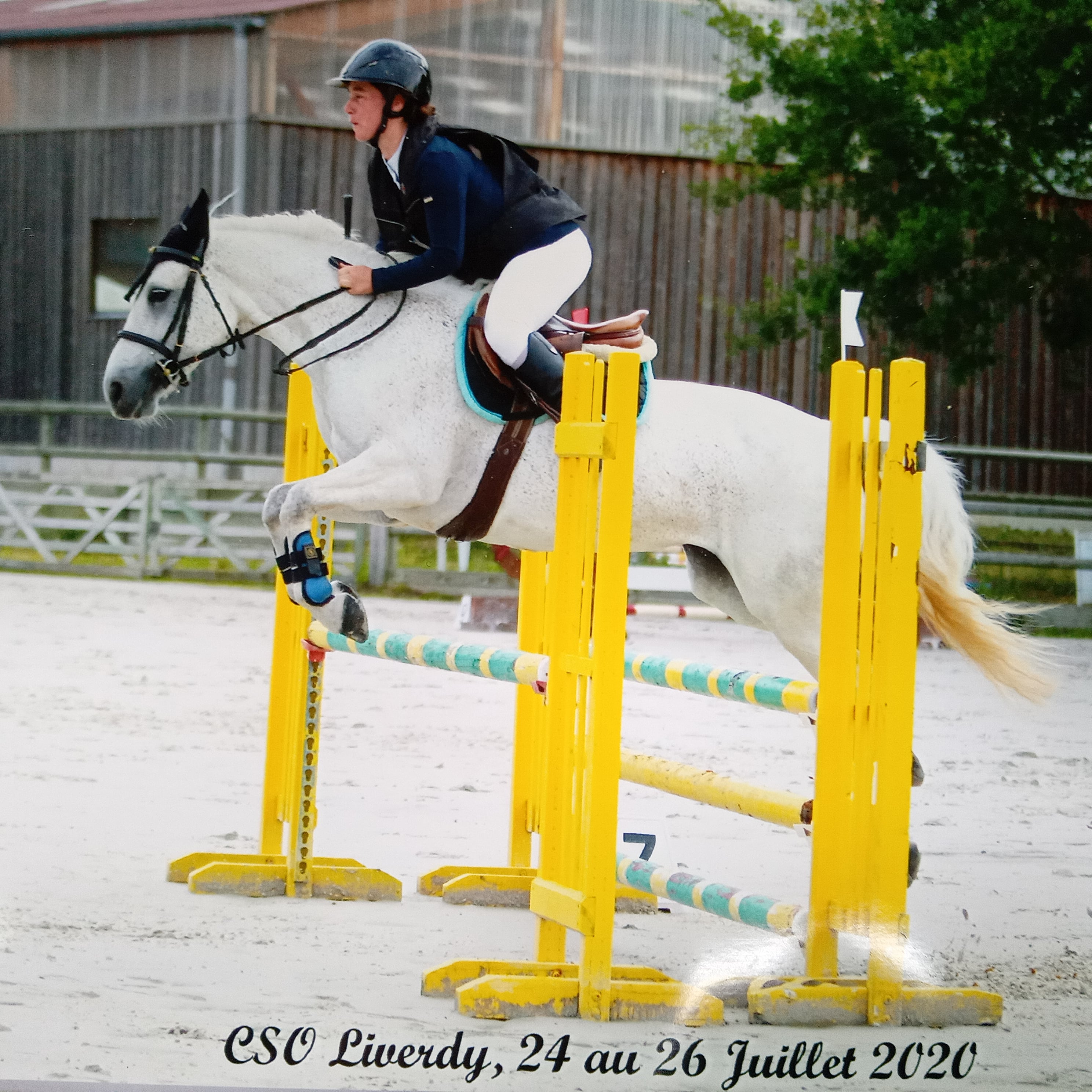 Image de l'annonce Poney de sport