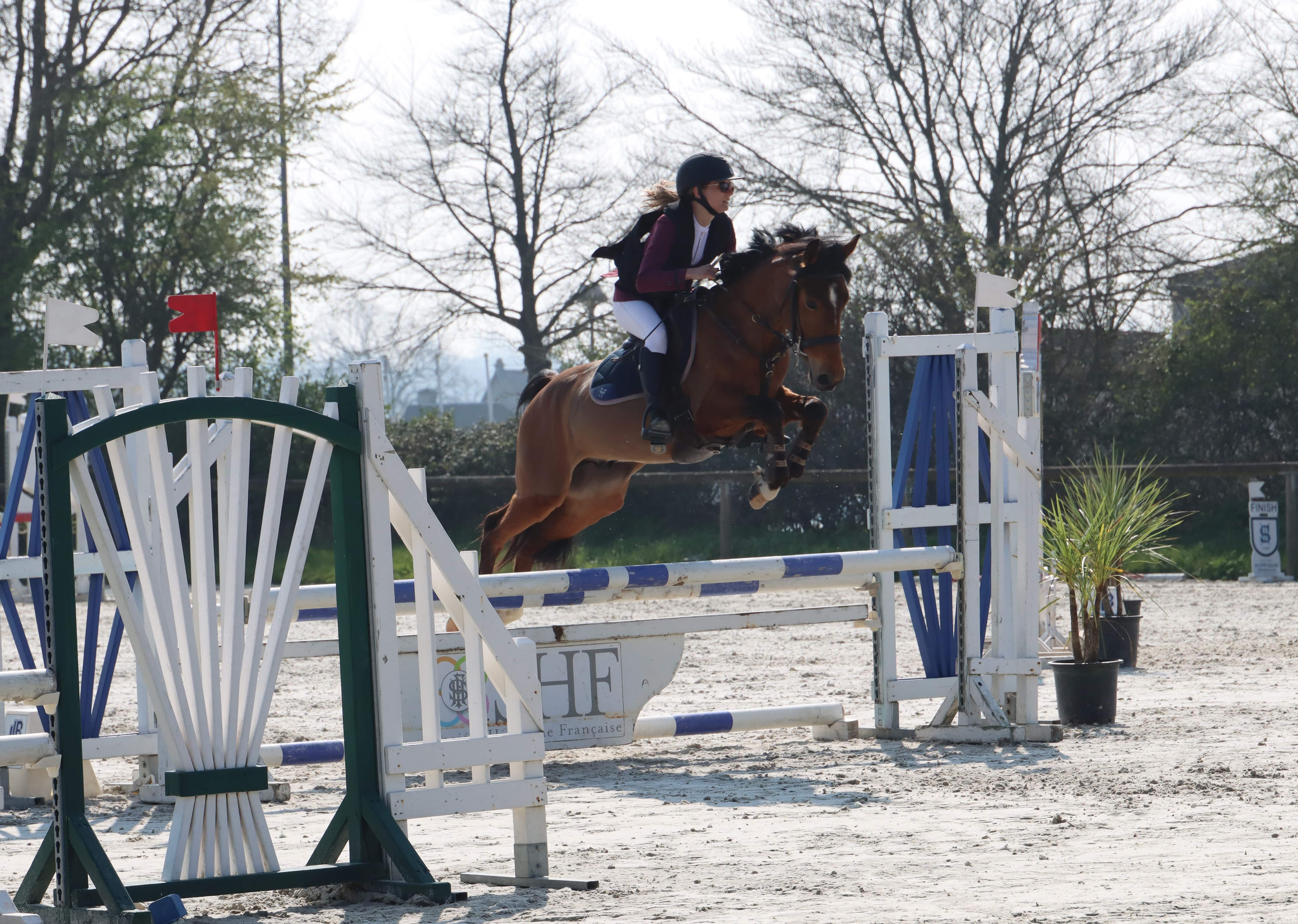 Image de l'annonce Poney de sport petit D
