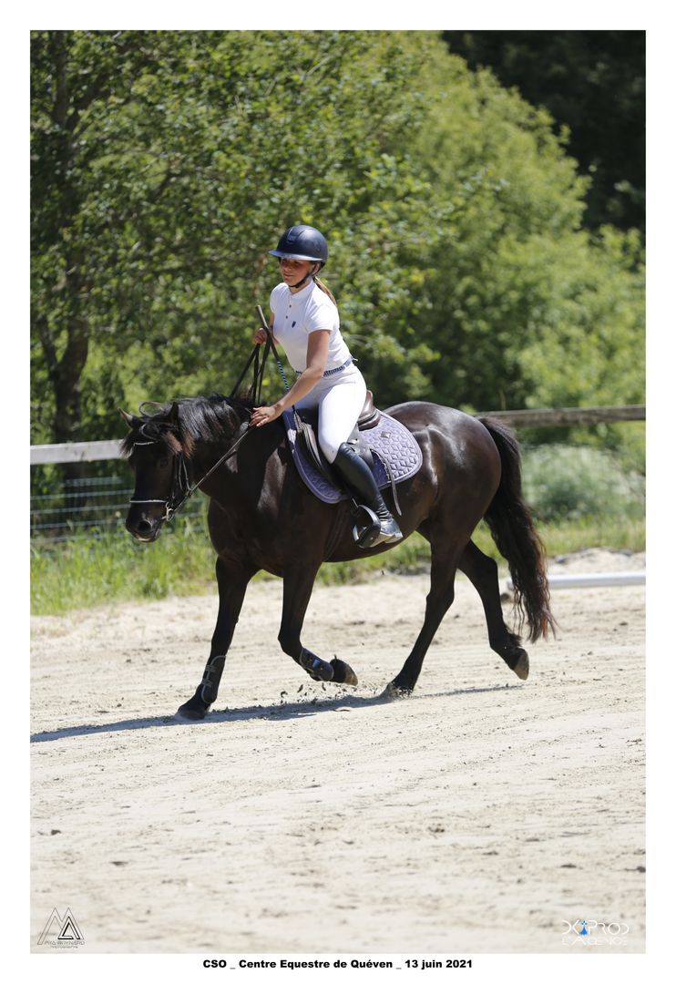 Image de l'annonce JOLI PONEY SPORT (C)
