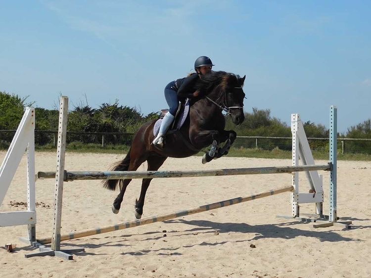 Image de l'annonce JOLI PONEY SPORT (C)