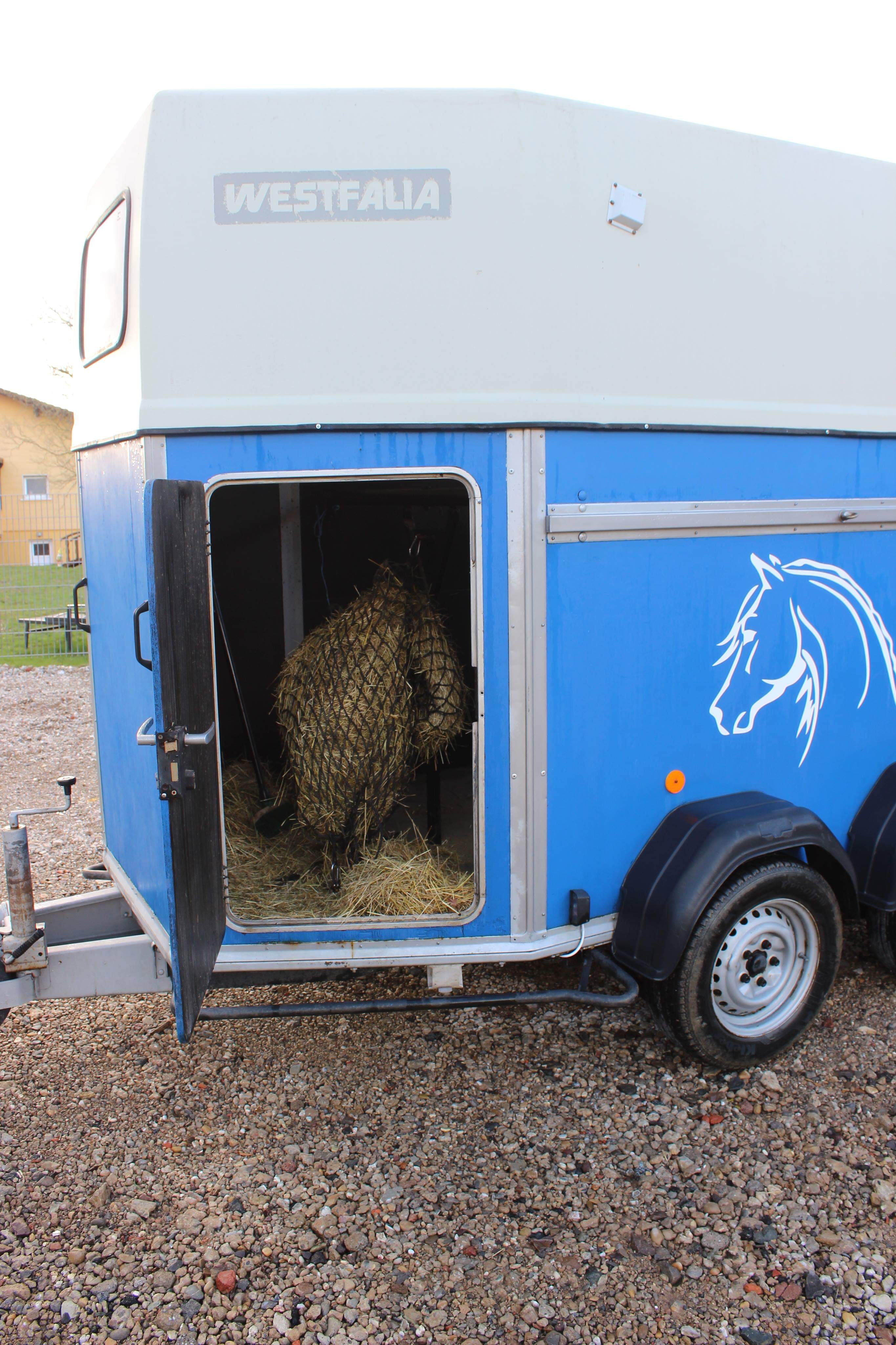 Image de l'annonce Van de transport chevaux westfalia 2 places