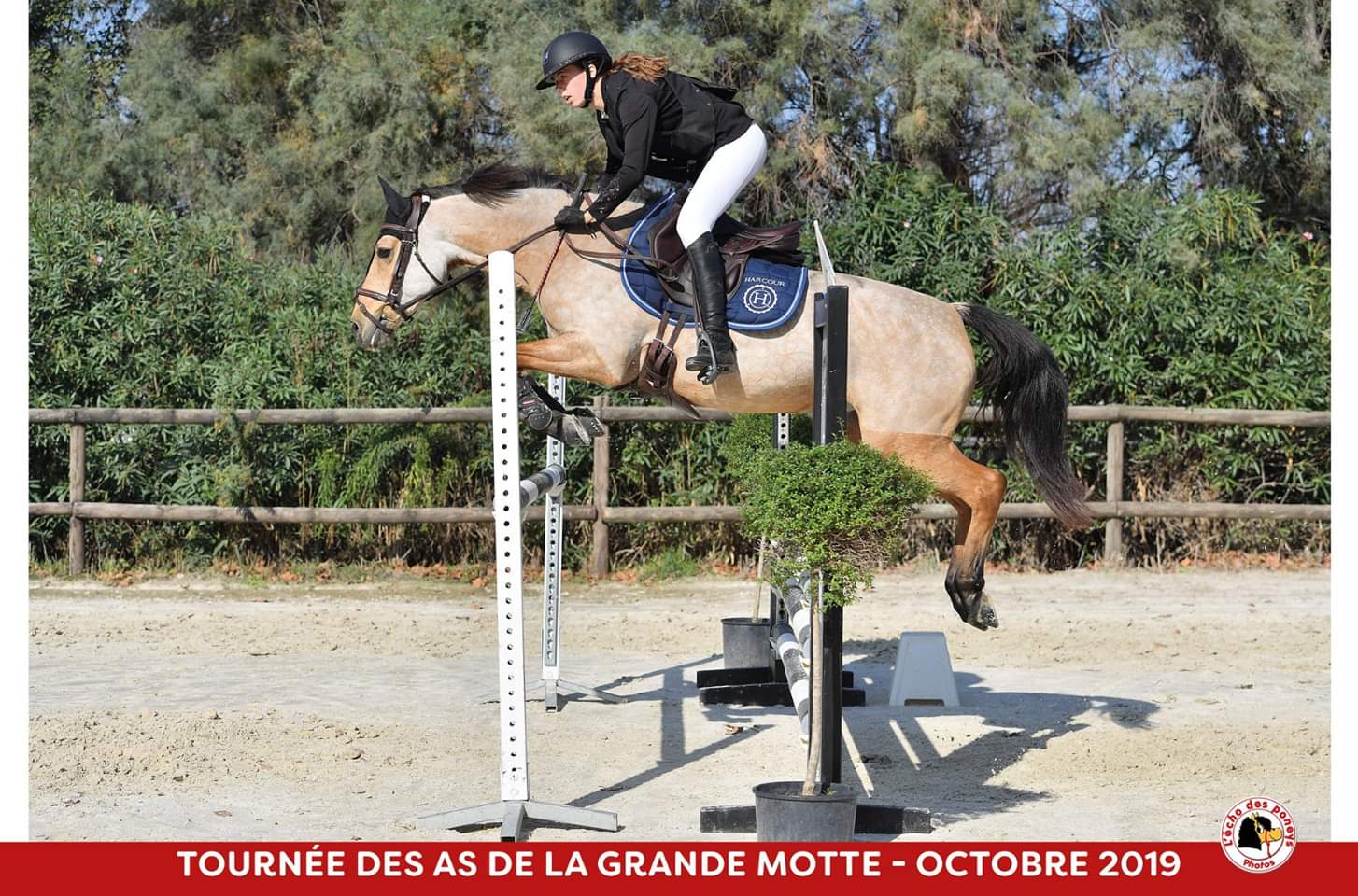 Image de l'annonce PONETTE AS2 / AS1 : à vendre ou à échanger