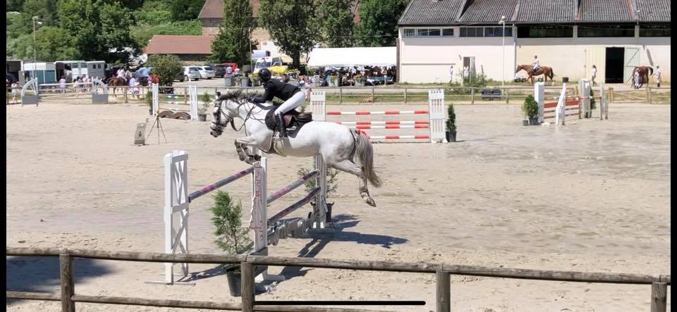 Image de l'annonce Jument grise, 6 ans ayant suivi le circuit classique à 4 et 5 ans. Qualifiée à 4 ans FONTAINEBLEAU.