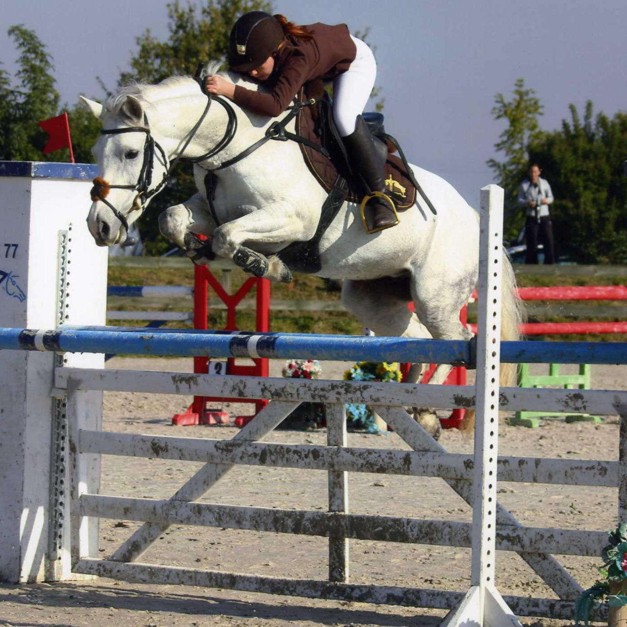 Image de l'annonce Top cheval d' enfant à vendre
