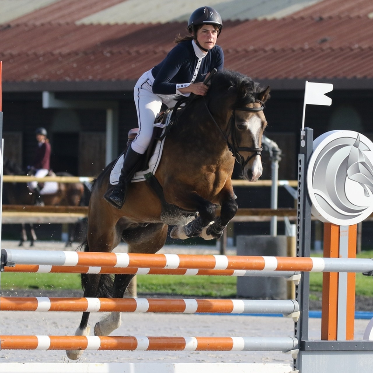 Image de l'annonce Poney prêt AS2
