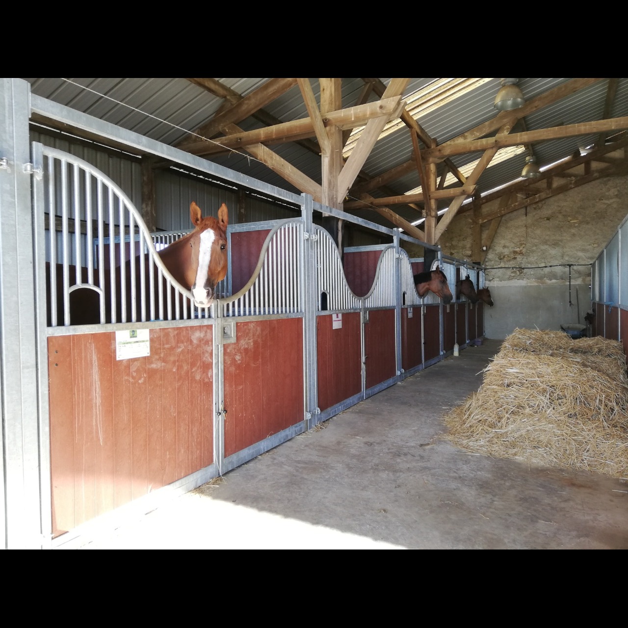 Image de l'annonce HARAS DES COSMIQUES