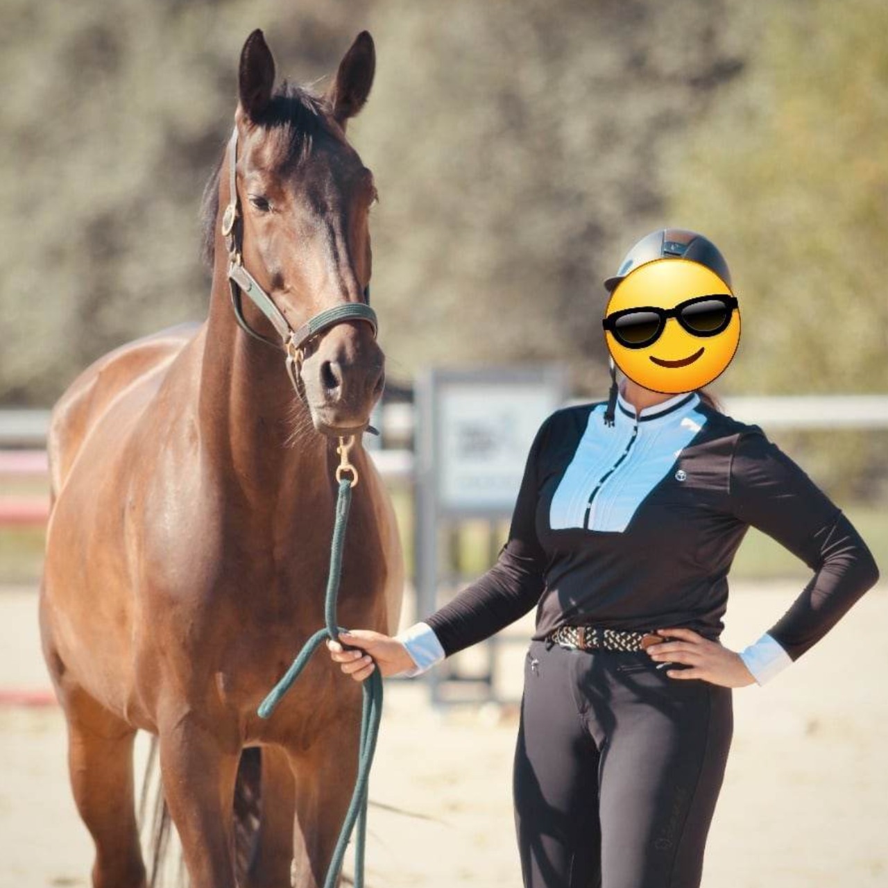 Image de l'annonce Super cheval pour sauter gros!