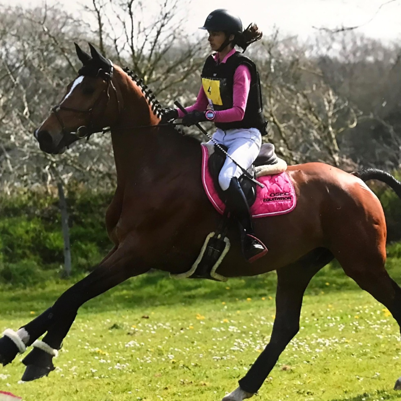 Image de l'annonce CHEVAL HONGRE DRESSAGE ET CCE