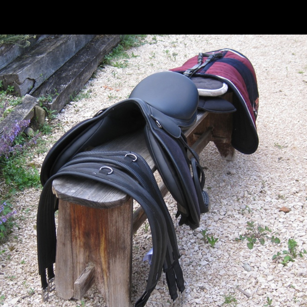 Image de l'annonce Selle cheval et poney 16’’5 et équipement