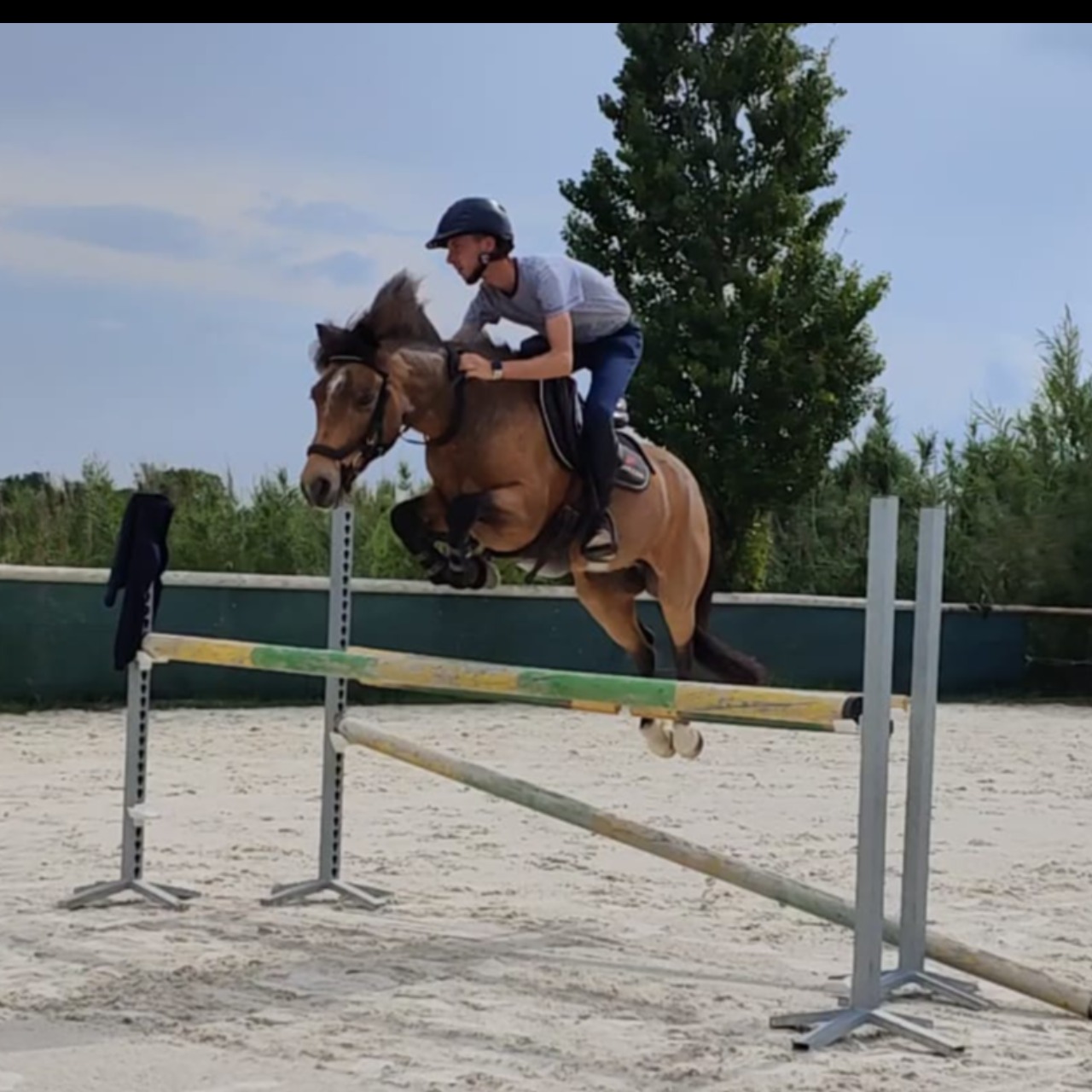 Image de l'annonce VENDS PONEY C PRET SUR P ELITE - POTENTIEL AS2 
