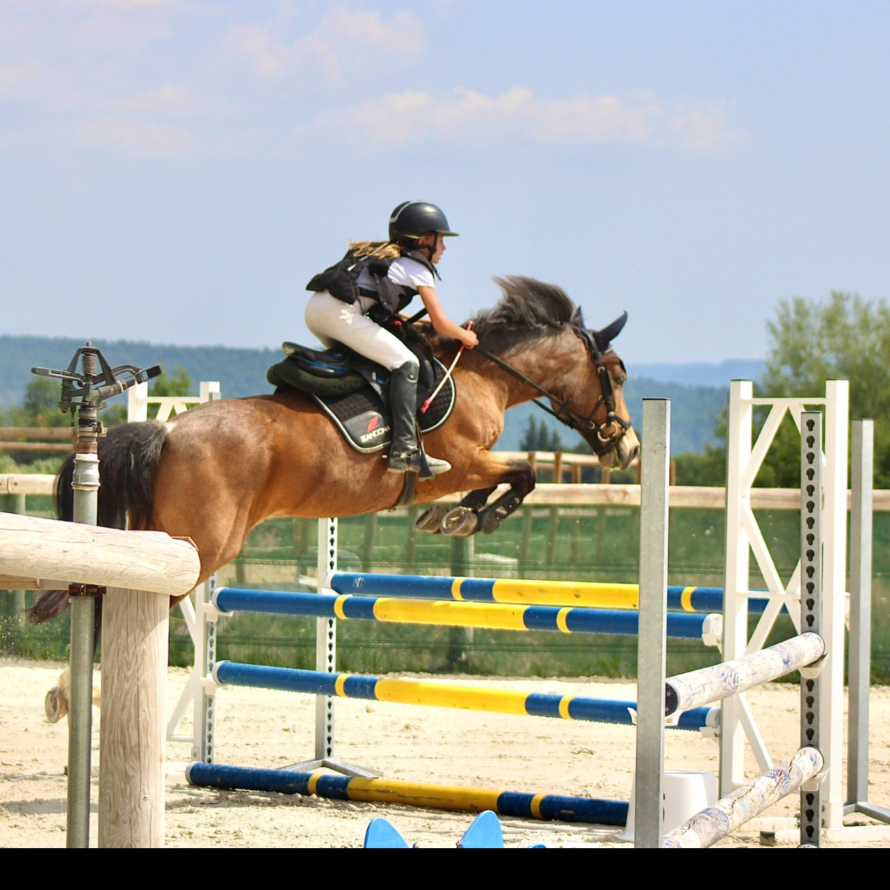 Image de l'annonce VENDS PONEY C PRET SUR P ELITE - POTENTIEL AS2 