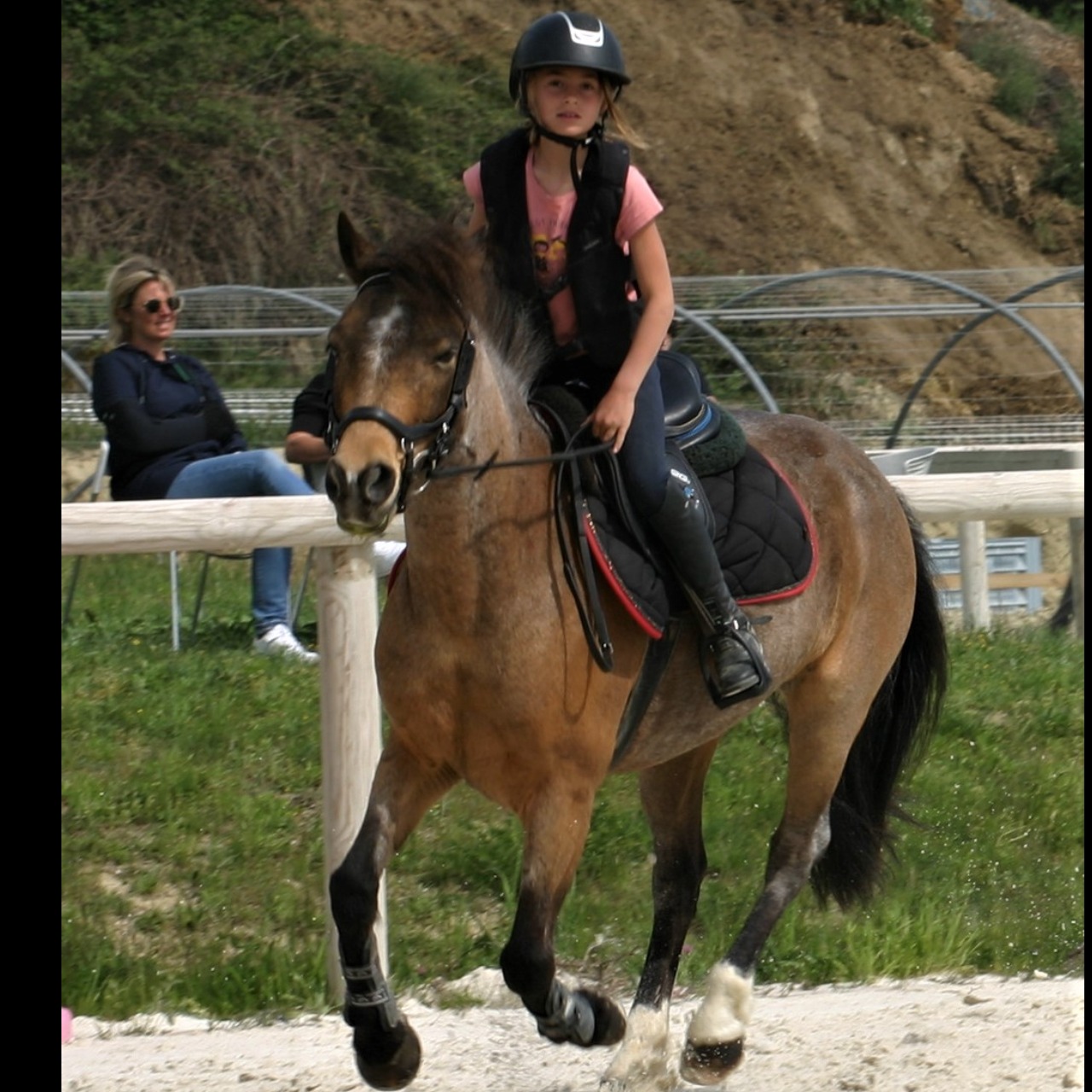Image de l'annonce VENDS PONEY C PRET SUR P ELITE - POTENTIEL AS2 