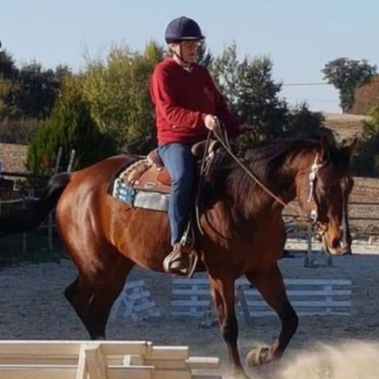 Image de l'annonce QUARTER HORSE HONGRE 10 ANS