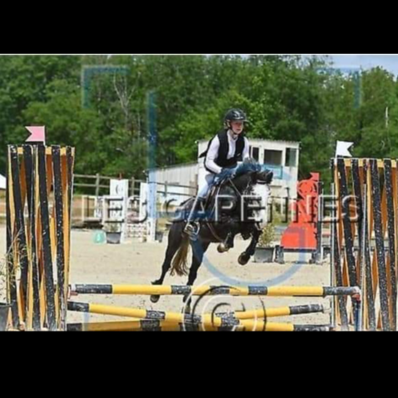 Image de l'annonce Poney 4 ans facile