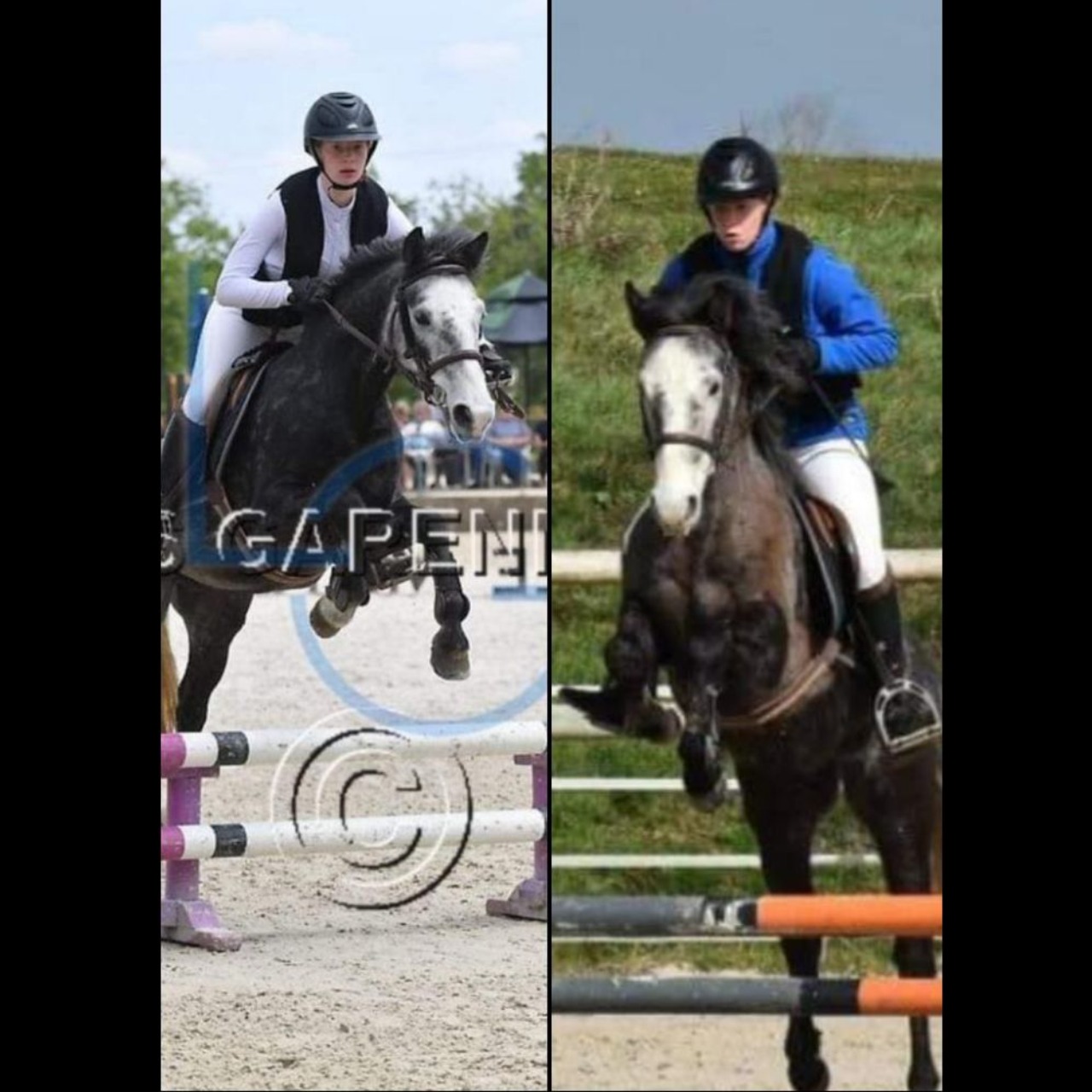 Image de l'annonce Poney 4 ans facile