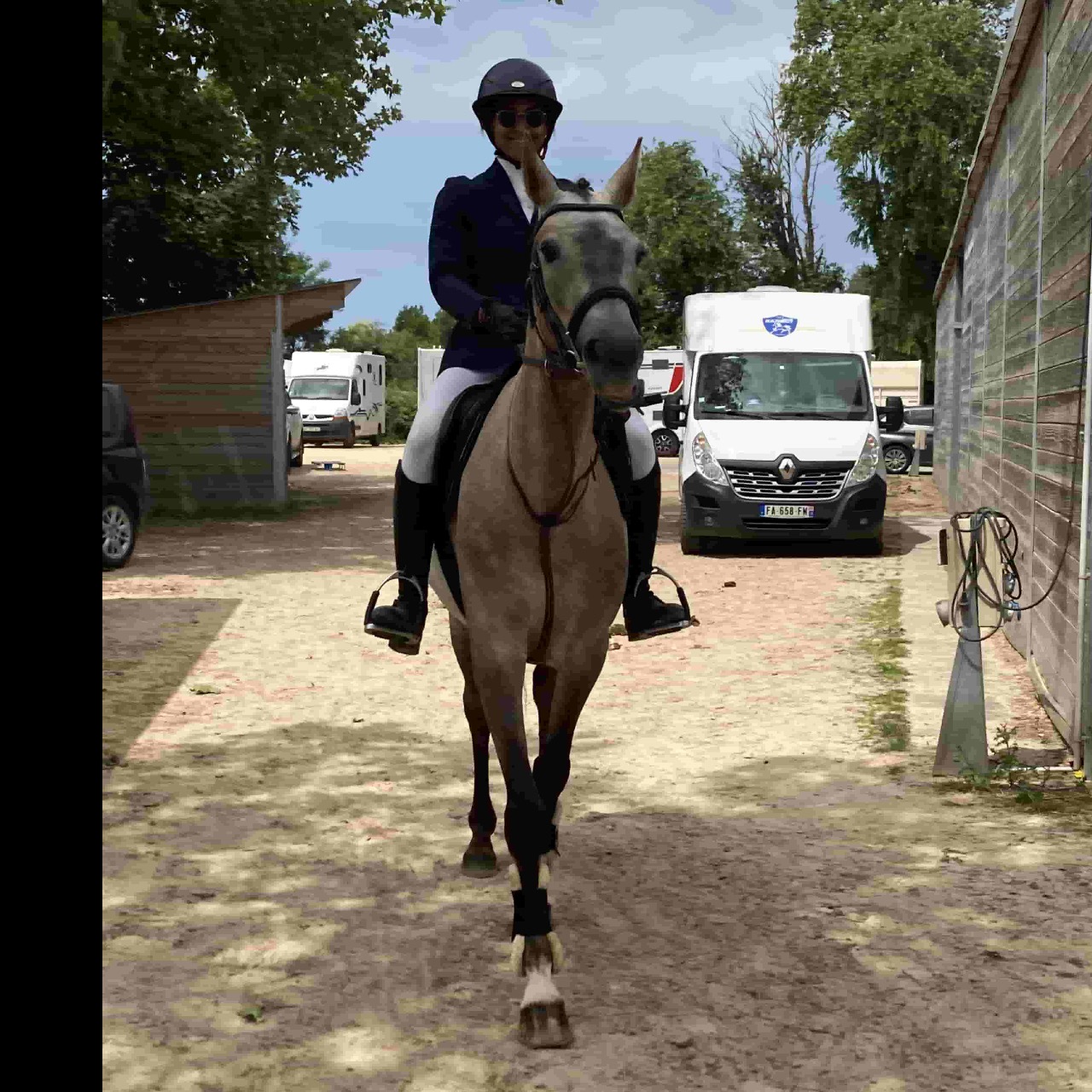 Image de l'annonce Jument Z CSO 4 ans 1m58