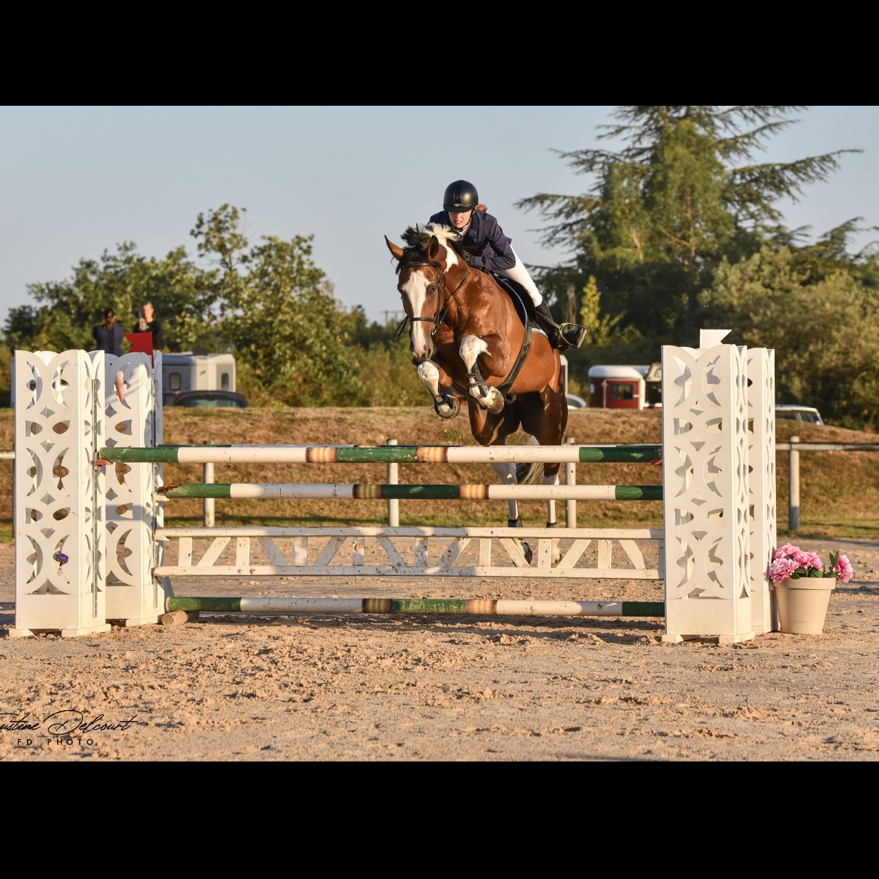 Image de l'annonce À vendre cheval de sport pie 