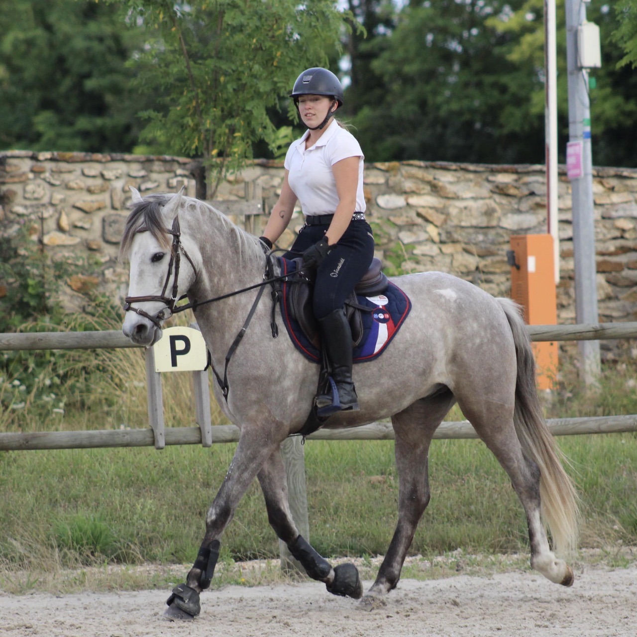 Image de l'annonce A vendre Onix 
