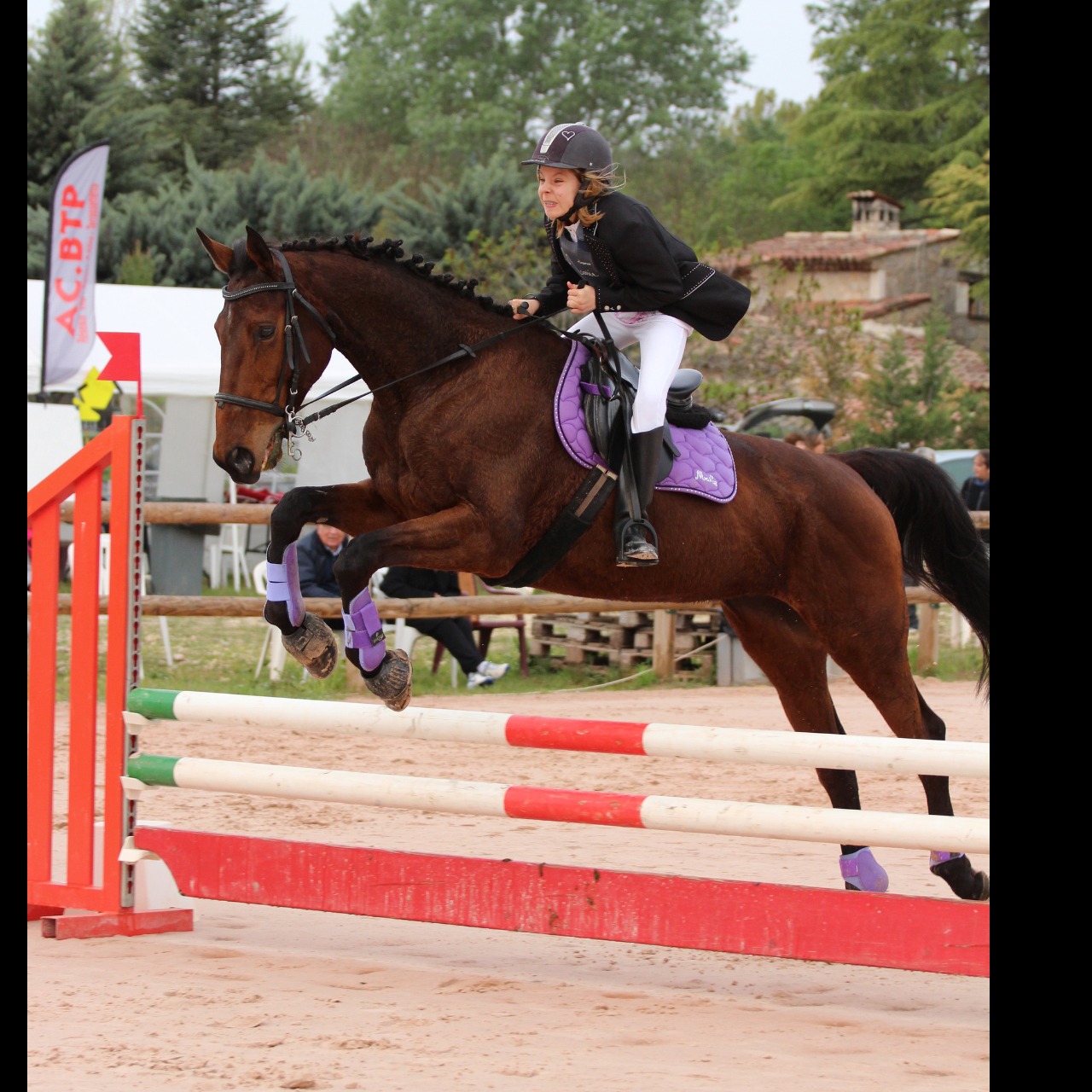 Image de l'annonce JUMENT CSO/CCE/CROSS/DERBY CROSS idéale jeune cavalier ou débutant