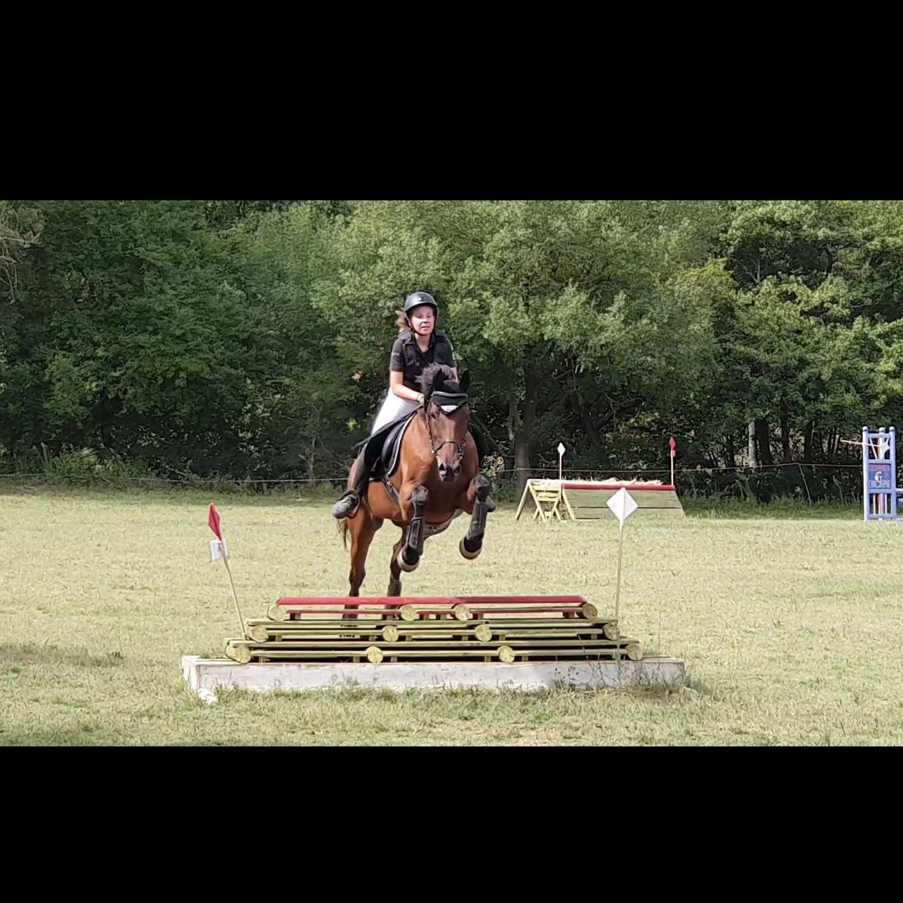 Image de l'annonce JUMENT CSO/CCE/CROSS/DERBY CROSS idéale jeune cavalier ou débutant
