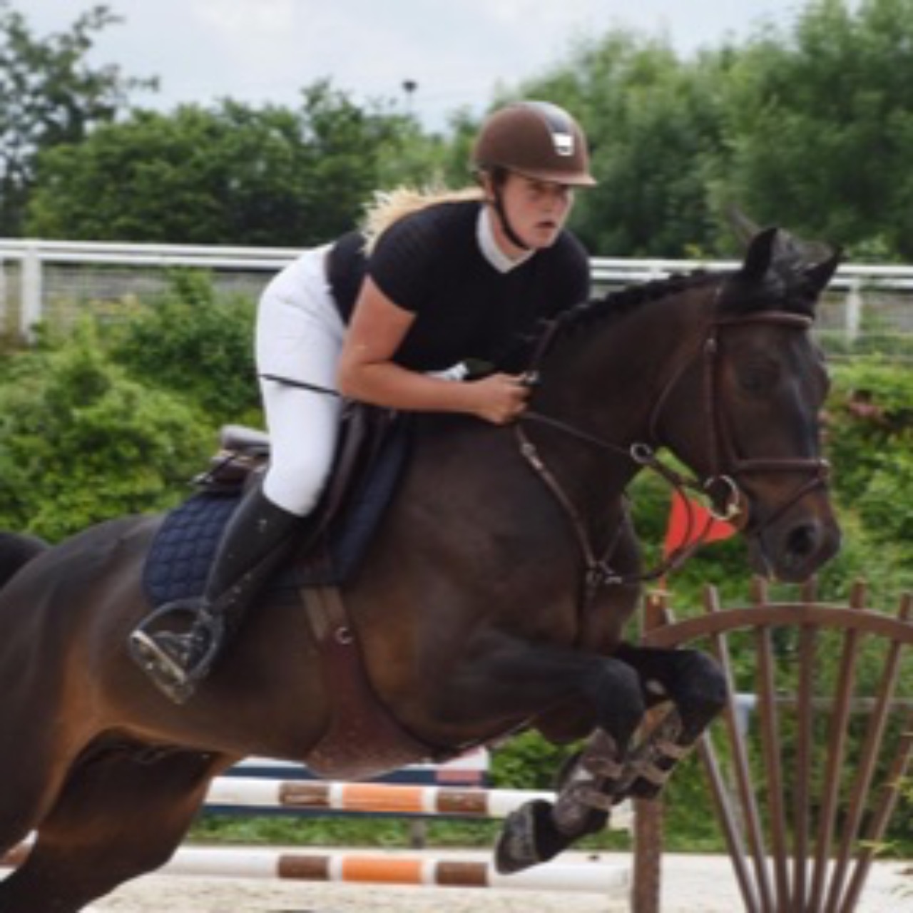 Image de l'annonce Top poney 