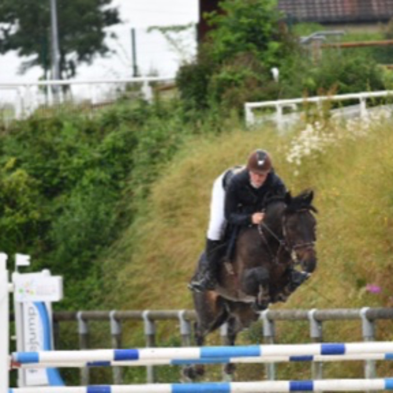 Image de l'annonce Top poney 