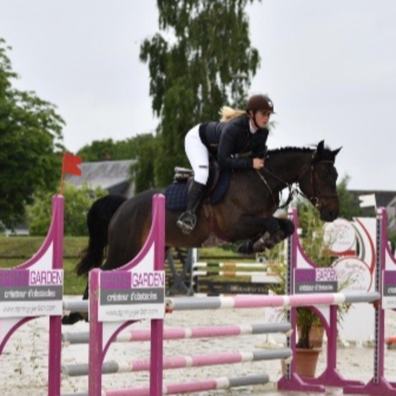 Image de l'annonce Top poney 