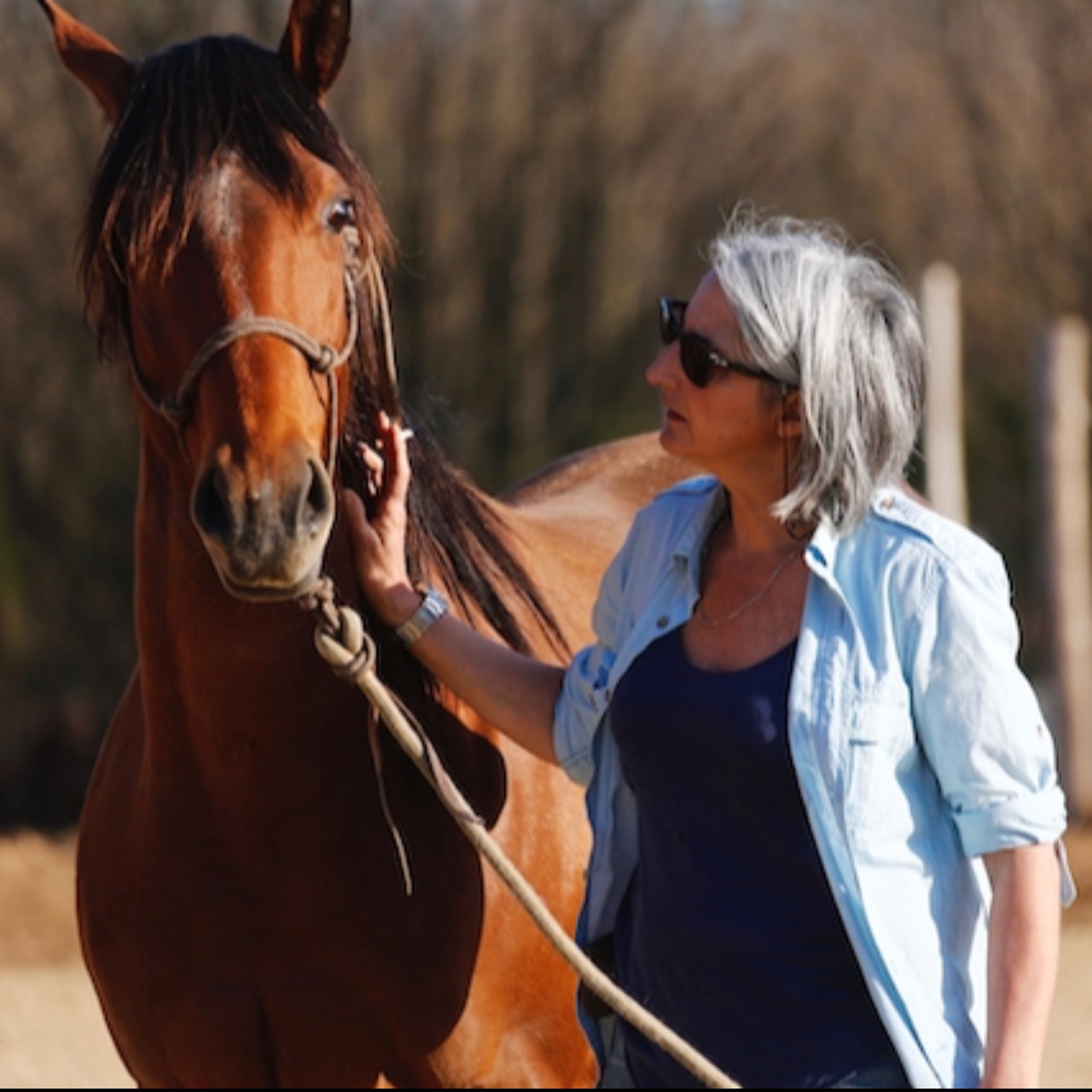 Image de l'annonce Poulinière Quarter Horse certifiée pleine