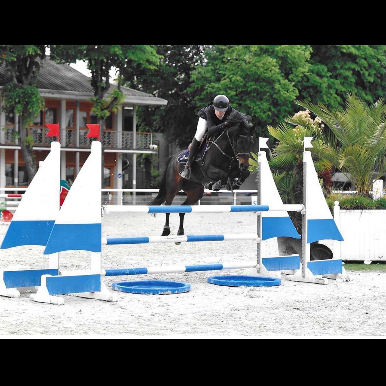 Image de l'annonce TOP PONETTE POUR DEBUTER LES TDA ADAMANTE DE BLONDE