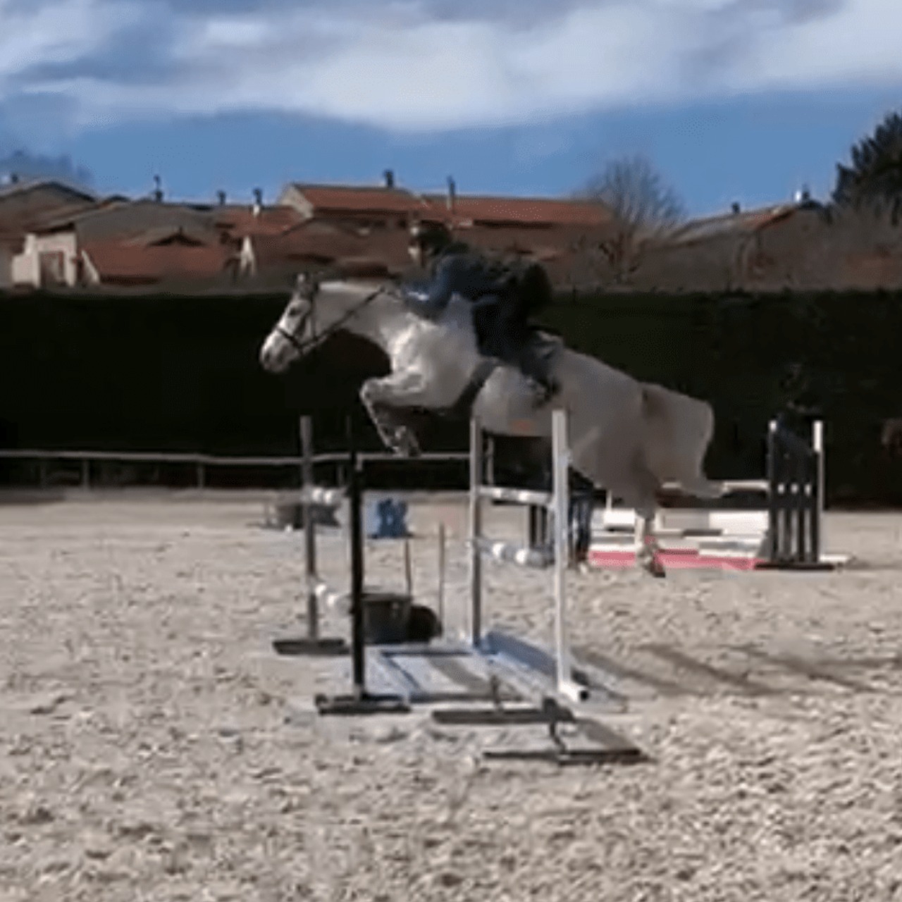 Image de l'annonce Poney de 6 ans avec gros moyens