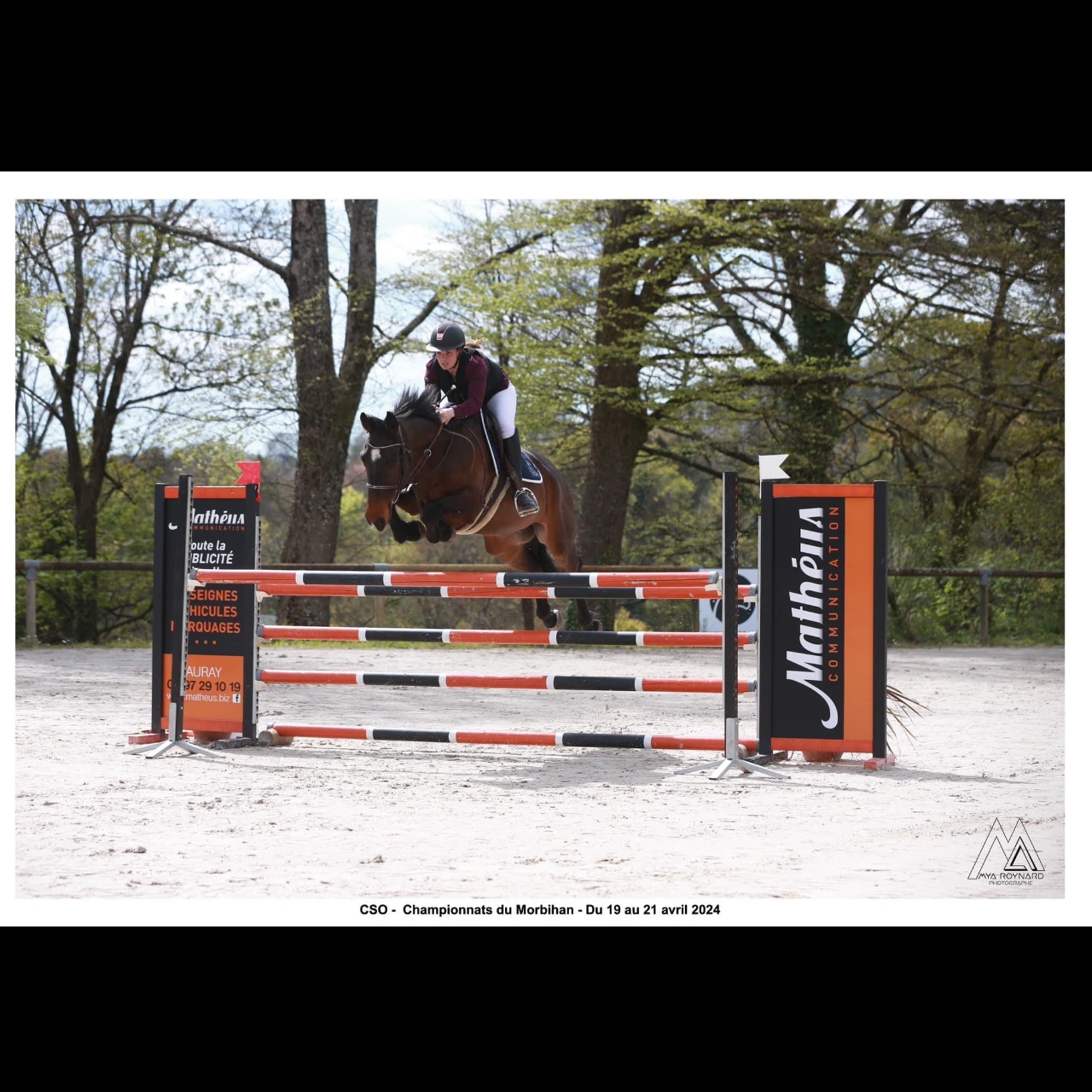 Image de l'annonce Super cheval d'amateur