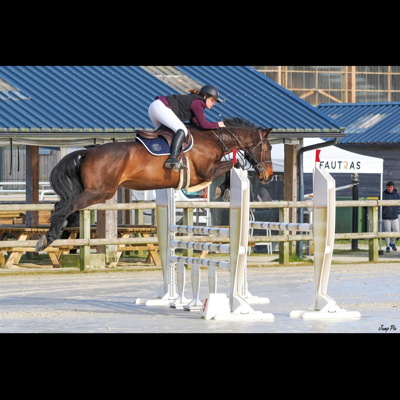 Image de l'annonce Super cheval d'amateur