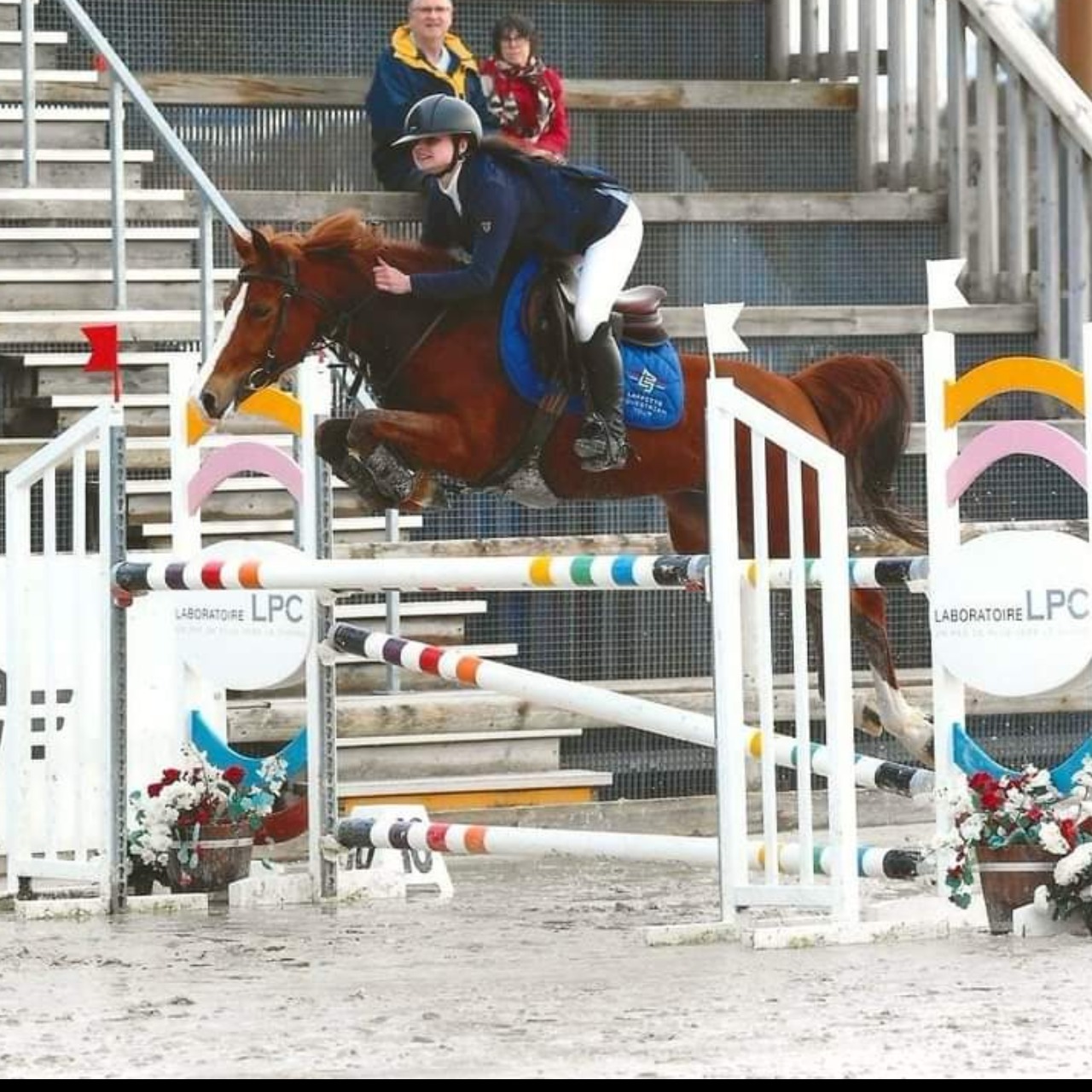 Image de l'annonce GANGNAM STYLE NEOTTIA Poney de grand prix 