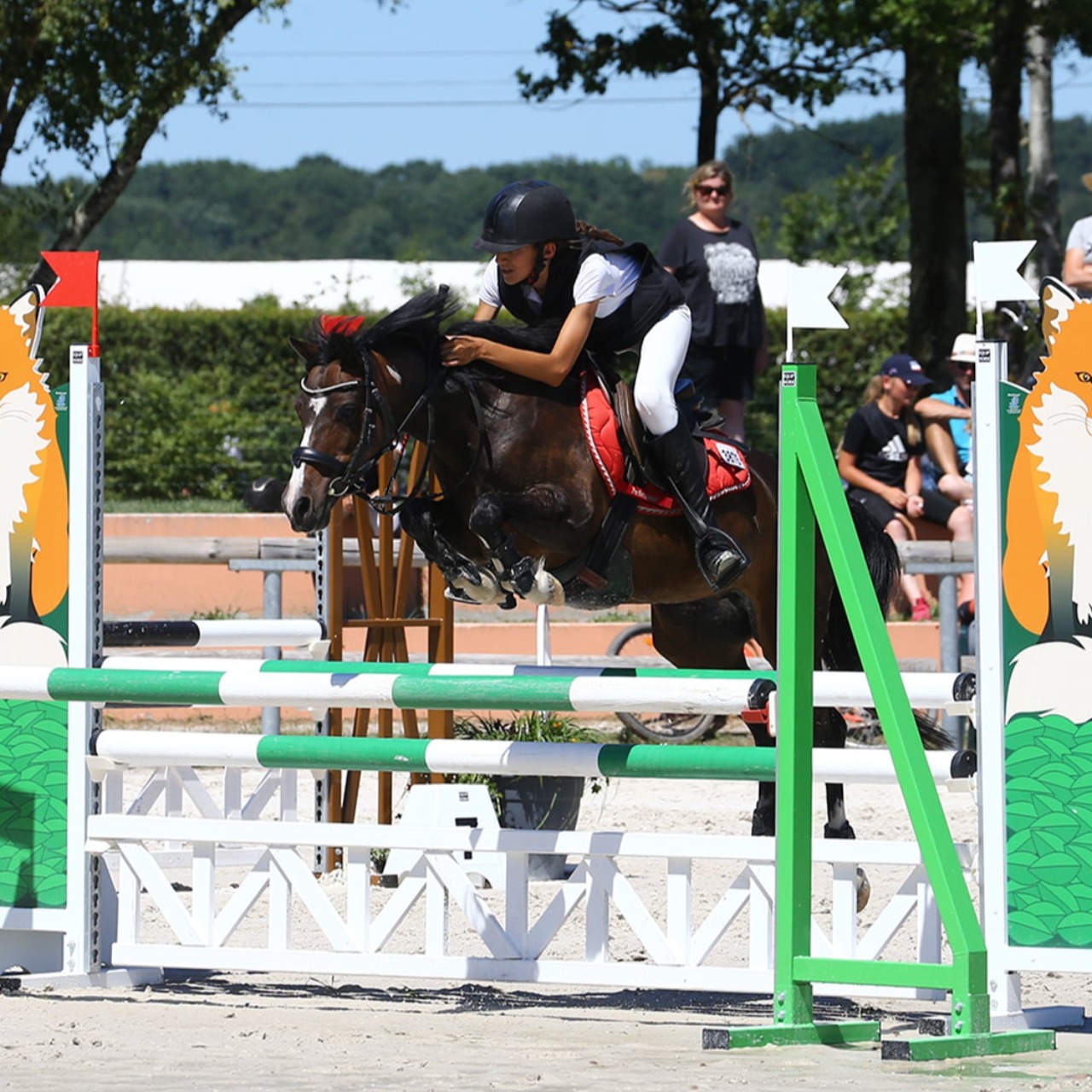 Image de l'annonce Jeune mâle welsh pony - excellentes origines