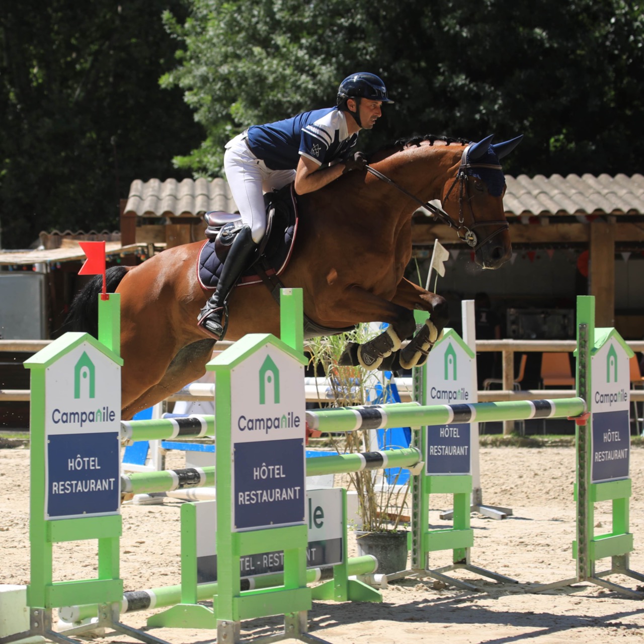 Image de l'annonce Magnifique jument pour amateur de 7 ans performante de suite en concours