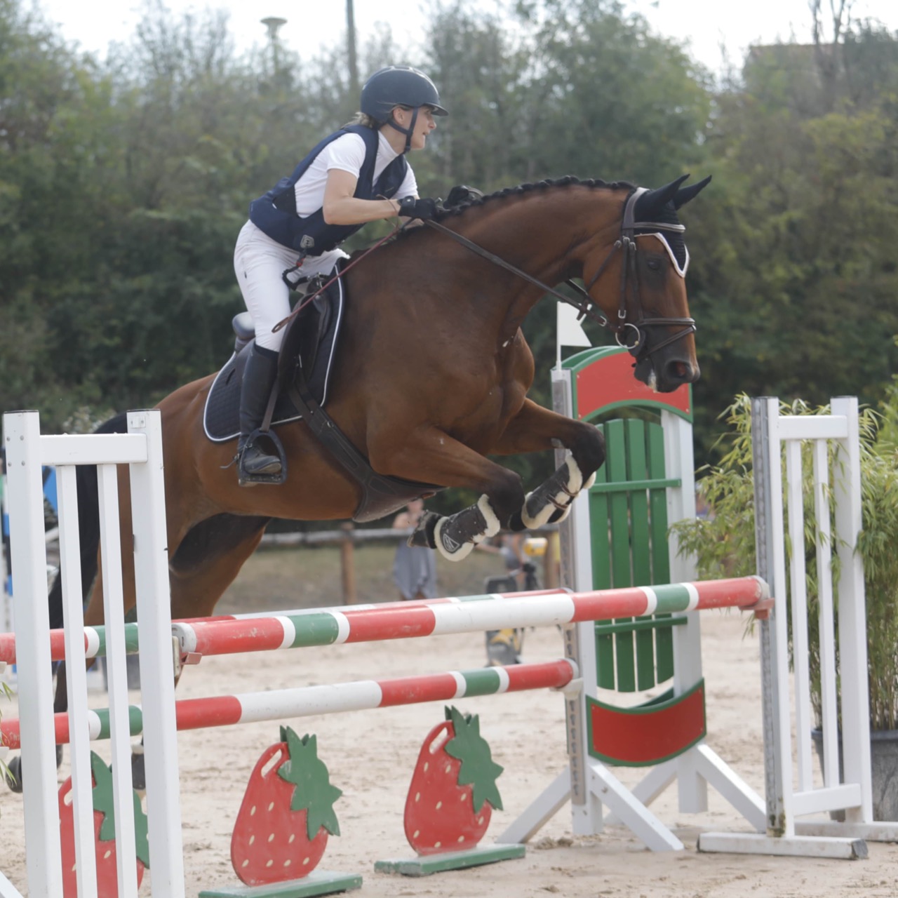 Image de l'annonce Magnifique jument pour amateur de 7 ans performante de suite en concours