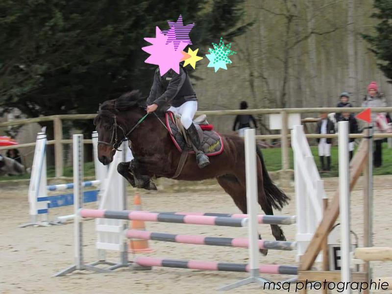 Image de l'annonce Poney ONC
