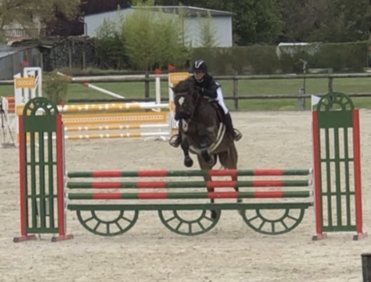 Image de l'annonce Petit cheval de sport