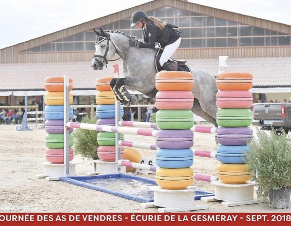 Image de l'annonce Magnifique poney de 7 ans , gagnant TDA