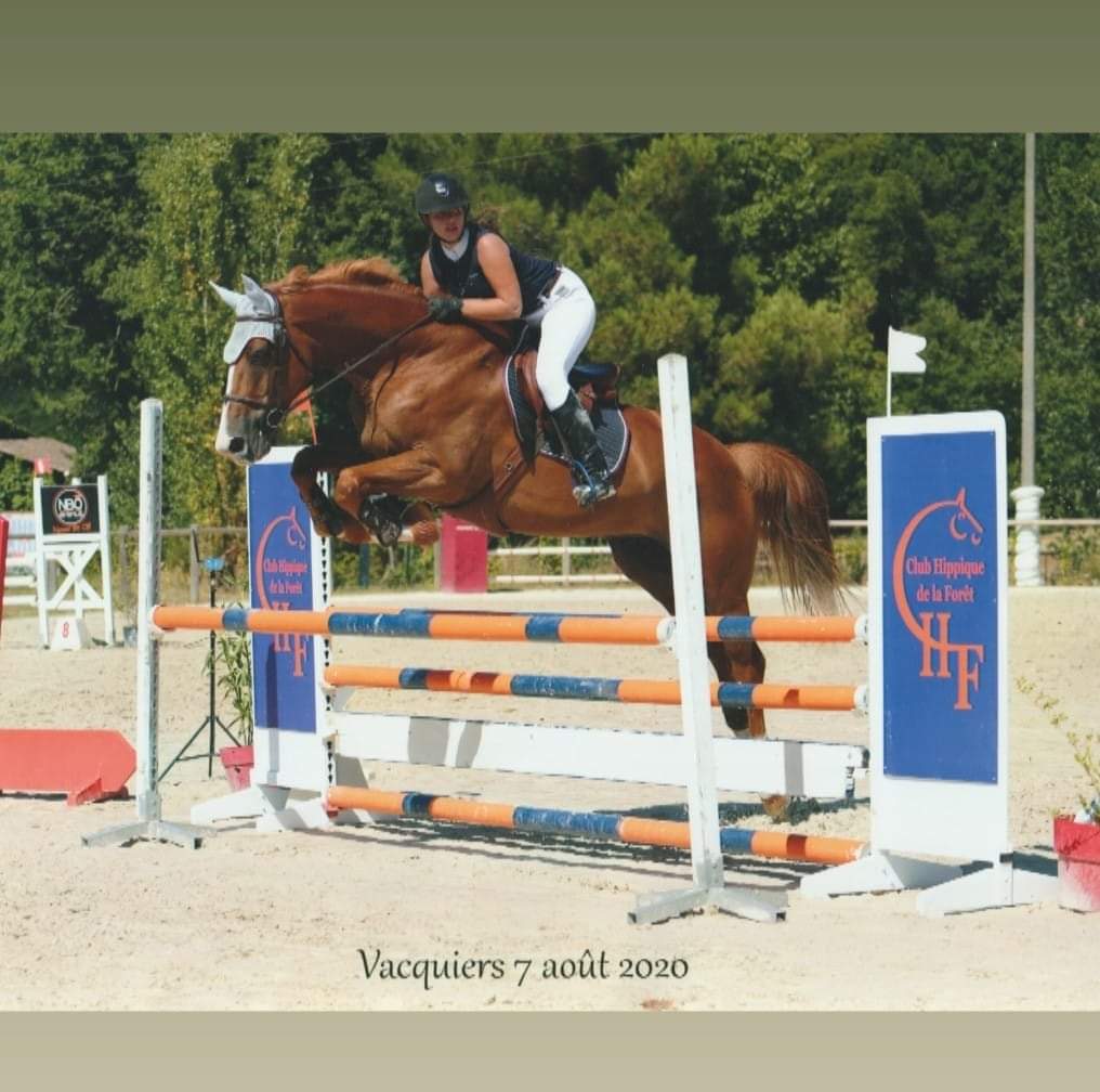 Image de l'annonce Vend cheval sf