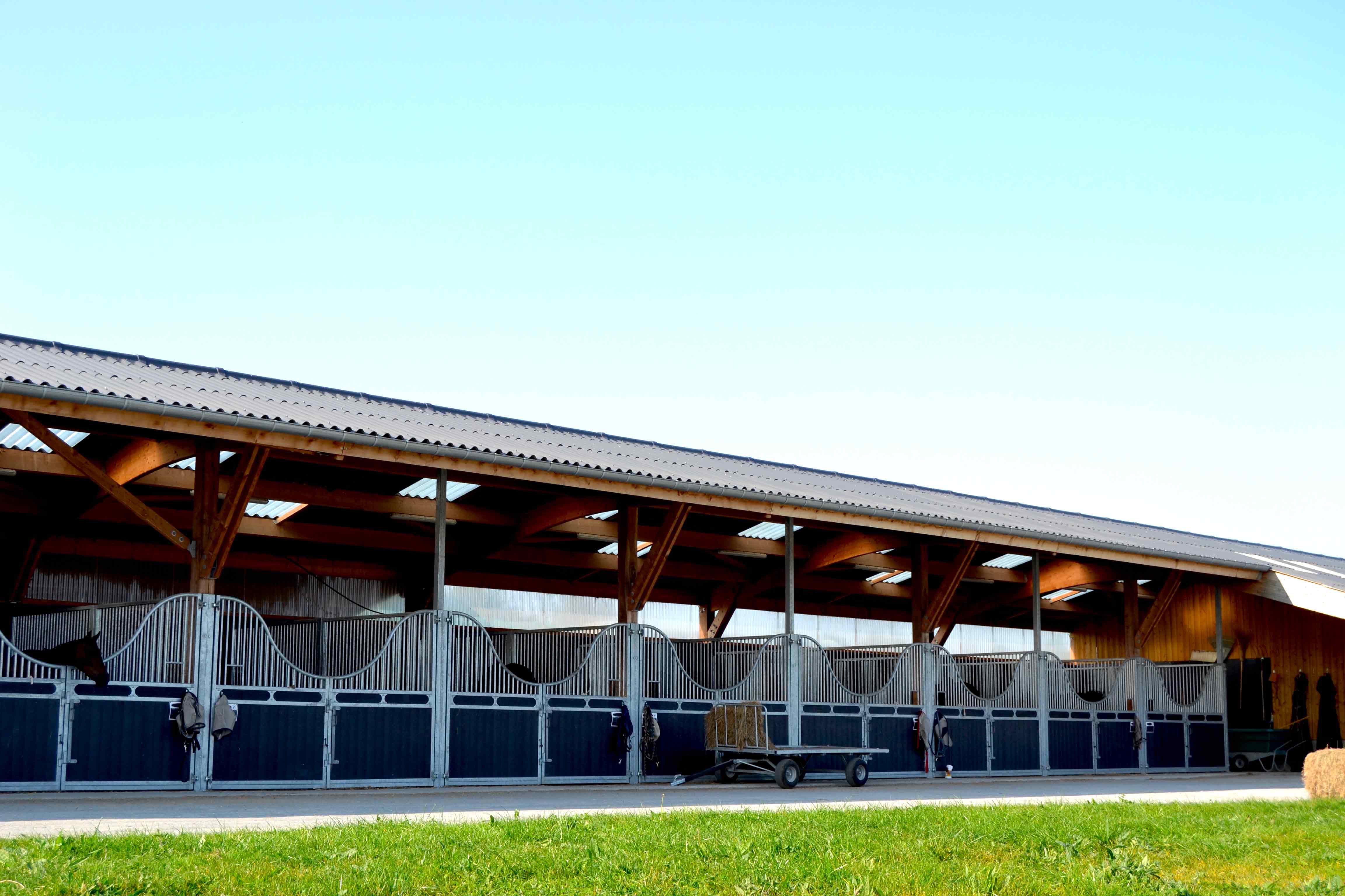 Image de l'annonce Écurie de propriétaires - Pension pour chevaux- Deauville/Cabourg