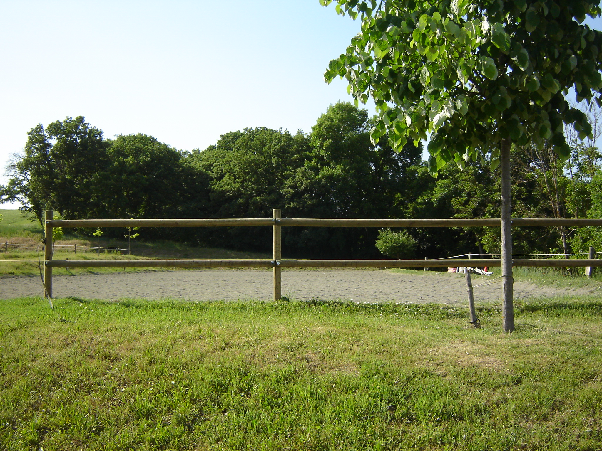 Image de l'annonce Location nue deux grands paddocks avec abris , carrière et manège.