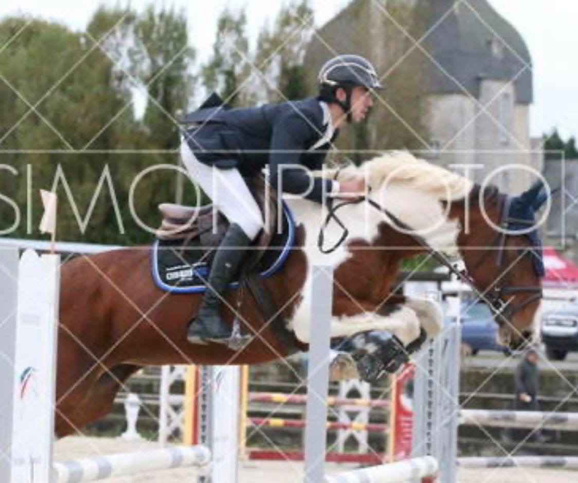 Image de l'annonce Jument Pie CSO