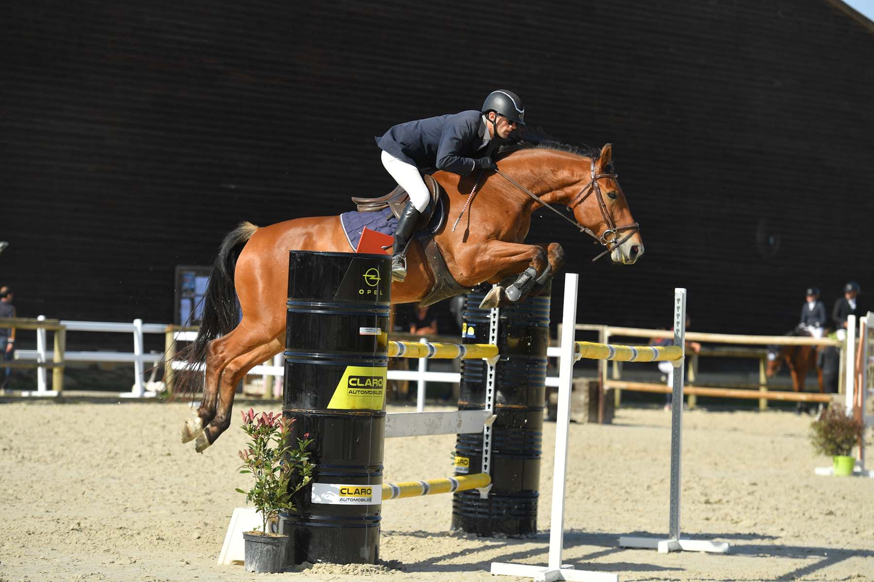 Image de l'annonce Cheval 9 ans CSO