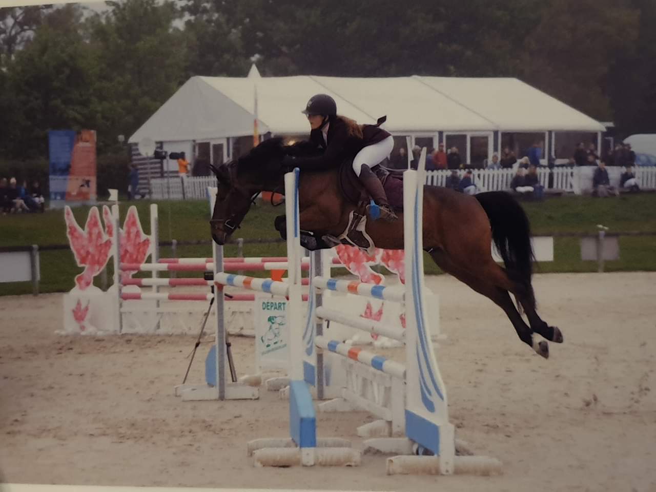 Image de l'annonce Poney prometteur