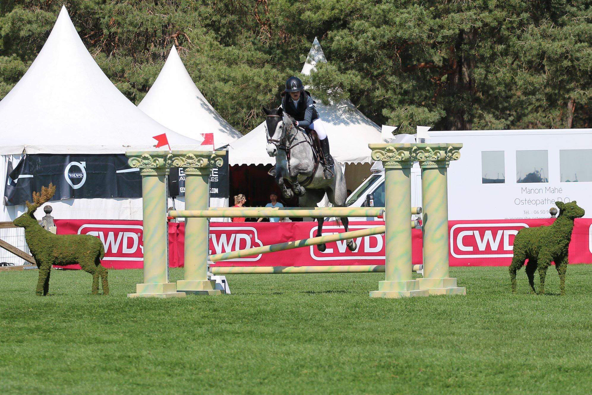 Image de l'annonce Ponette 7 ans, à vendre, potentiel grand prix