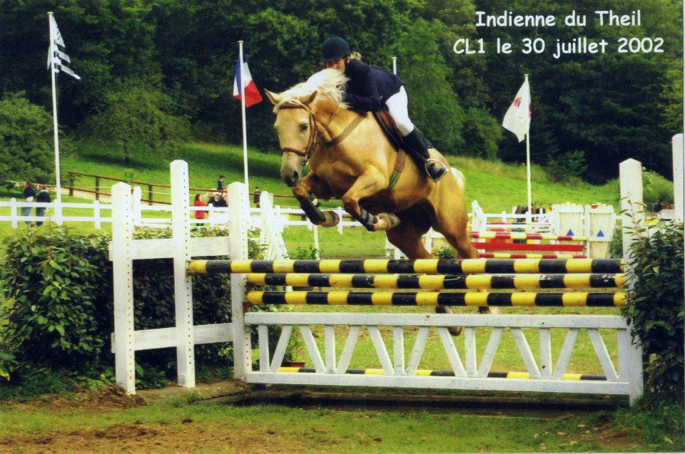 Image de l'annonce Rare pouliche de sport ayant le gène silver !