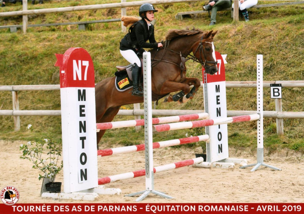 Image de l'annonce A vendre joli poney de CSO